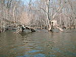 Pike_trip_March_09_009.jpg