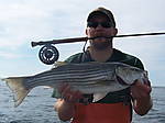 Bill_Bass_Fly.jpg