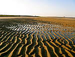 IMG_5449.JPG