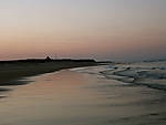IMG_5459.JPG