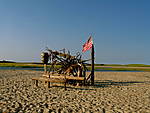 IMG_5534.JPG