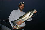 IMG_6503.jpg