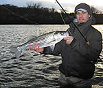 Todd_03_20_08.jpg