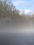 aaron_in_fog.jpg