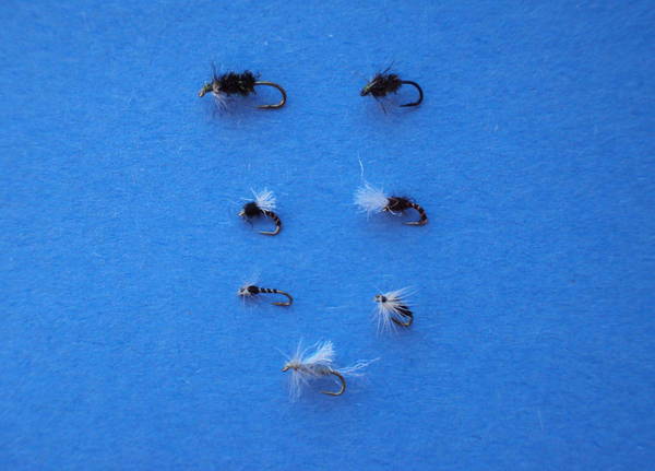 Wet Midges