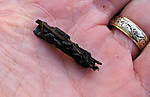 Northern_Casemaker_Caddis_Unmolested.jpg