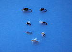 Wet_Midges.JPG