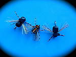 Cicadas.JPG