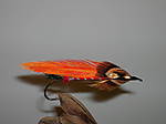 DSCN2370.JPG