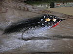 DSCN3533.JPG
