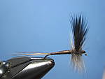 IMG_0061.JPG