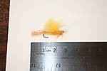 img_1762.jpg
