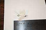 img_1765.jpg