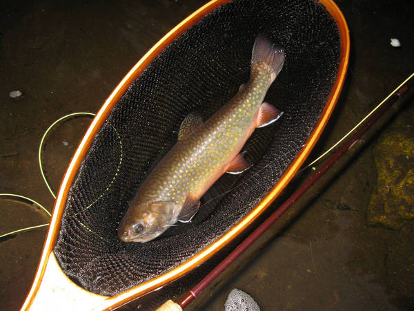 Small River in NW CT