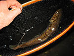 20090608_1.JPG
