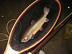 20090608_5.JPG