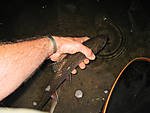 20090608_6.JPG