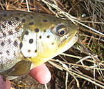 DSCN2623.JPG