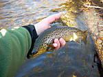 DSCN2625.JPG