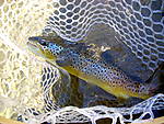 DSCN2629.JPG