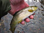 DSCN7257.JPG