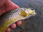 DSCN7259.JPG