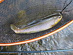 Fishin_031509_010.jpg