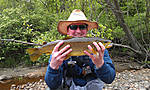Murph_s_Brown_trout.jpg