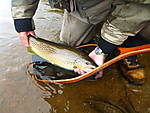 P1010013.JPG