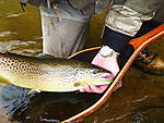P1010014.JPG