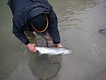 WNY_2007_038.jpg