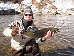 pulaski_3-3-2010_010.jpg
