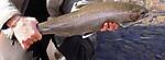 pulaski_3-3-2010_015.jpg
