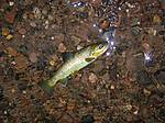 DSCN11411.JPG