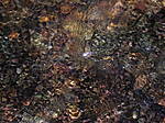 DSCN2626.JPG