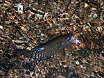 DSCN2635.JPG