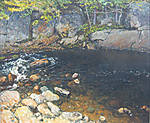 Jan5_JJ_Enneking-_Forest_Pool.jpg
